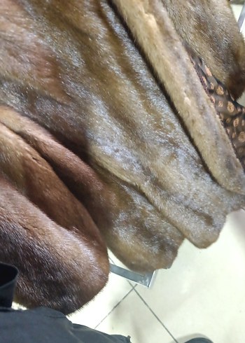 orjinal kusursuz kürk - Görsel 7