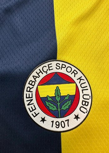 Fenerbahçe 2023-2024 Cumhuriyet forma - Görsel 3