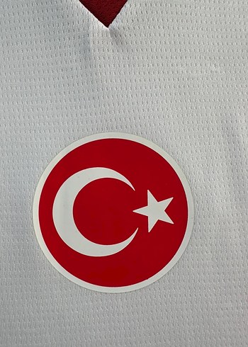 Galatasaray 2025-2026 Deplasman forması - Görsel 4