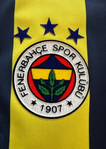 Fenerbahçe 2005-2006 Forması ANELKA - Görsel 3