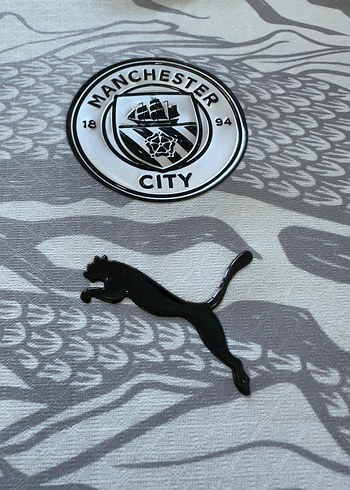 Manchester City 2023- 2024 Dragon Maç forması - Görsel 3