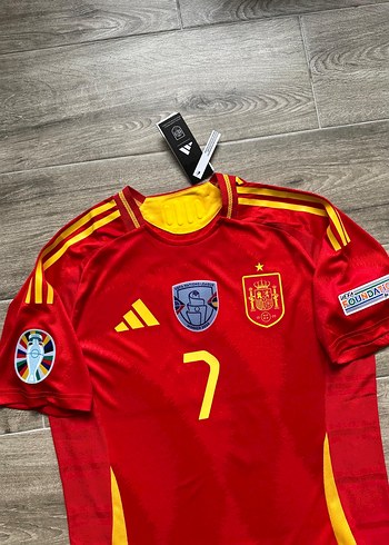 İspanya Euro 2024 İç saha Alvaro Morata - Görsel 2