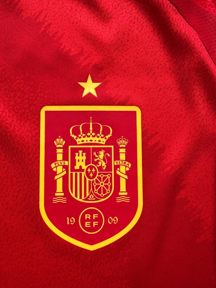 İspanya Euro 2024 İç saha Alvaro Morata - Görsel 3