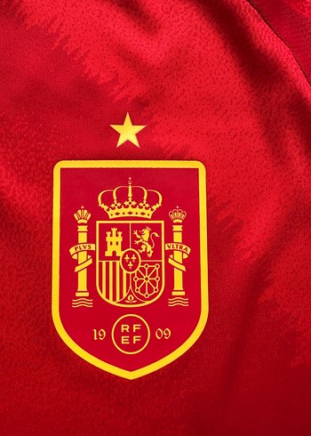 İspanya Euro 2024 İç saha Alvaro Morata - Görsel 3