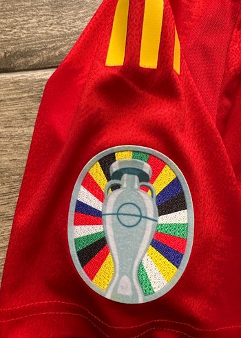 İspanya Euro 2024 İç saha Alvaro Morata - Görsel 4