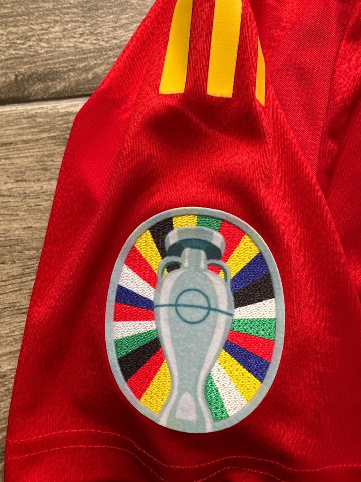 İspanya Euro 2024 İç saha Alvaro Morata - Görsel 4