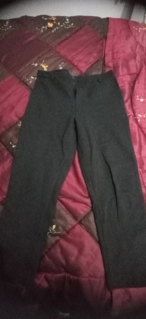 Gri Kadın Düz Kesim Kumaş Pantolon - Görsel 2