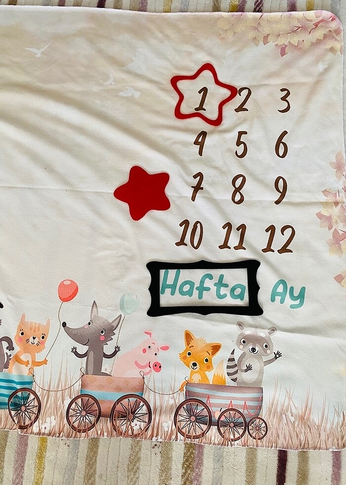 Bebek aylık konsept halsıı - Görsel 2