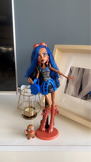 Monster High Basic Robecca Steam
