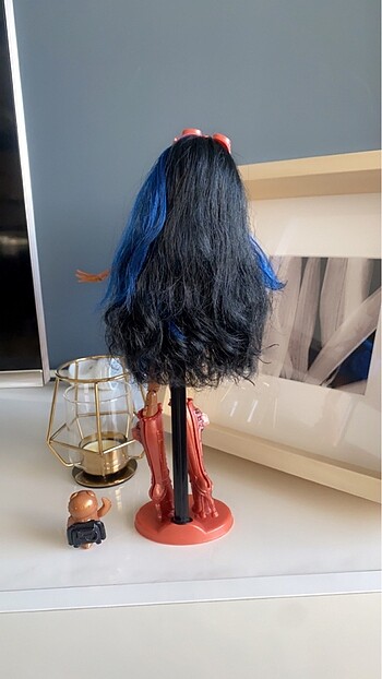 Monster High Monster High Basic Robecca Steam