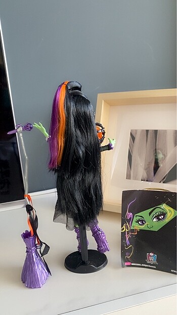 Monster High Monster High Casta Fierce