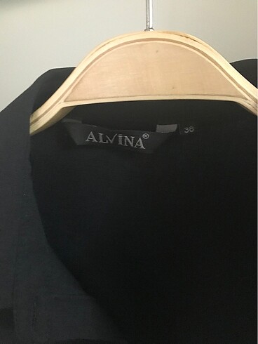 Alvina Alvina kadın siyah gömlek