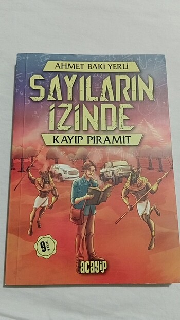 Sayıların izinde 
