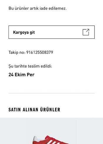 Gazelle Indoor - Görsel 6