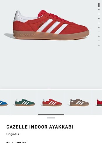 Gazelle Indoor - Görsel 5