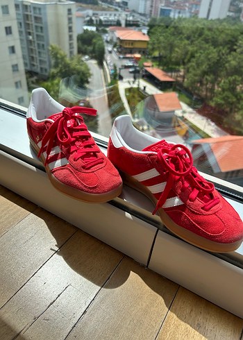 Gazelle Indoor - Görsel 2