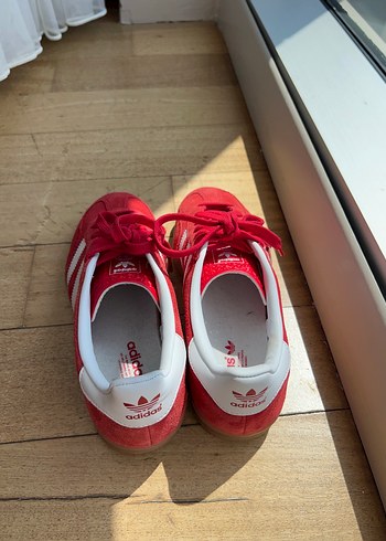 Gazelle Indoor - Görsel 4