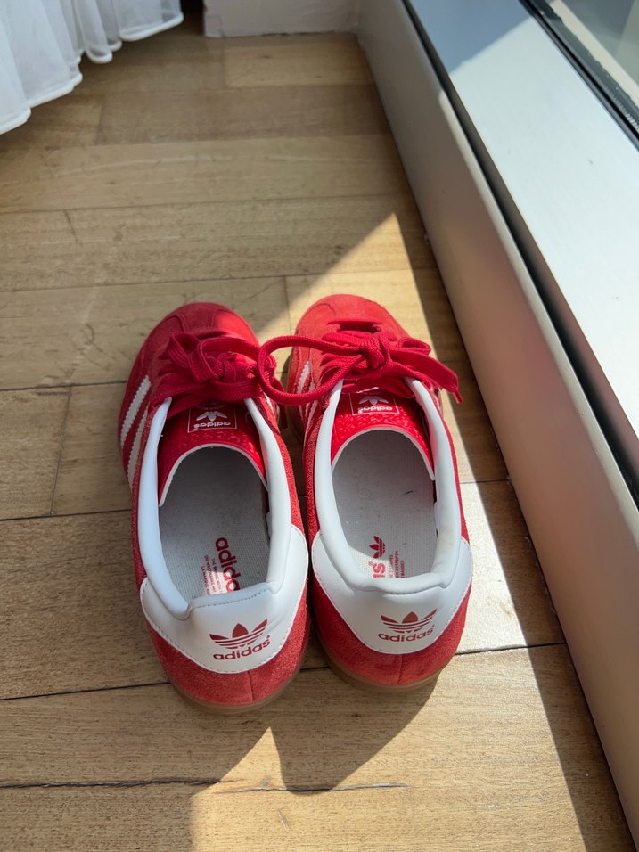 Gazelle Indoor - Görsel 4