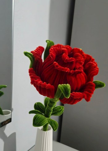 kirmizi gul - Görsel 2