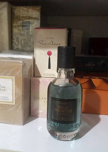 Avon Wild Country Freedom Erkek Parfümü - Görsel 2