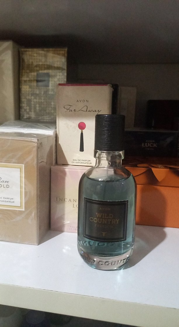 Avon Wild Country Freedom Erkek Parfümü - Görsel 2