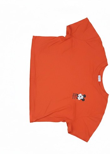 diger Standart Beden