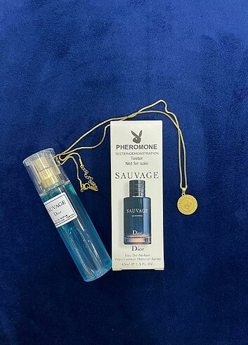 SAUVAGE ERKEK PARFÜM 