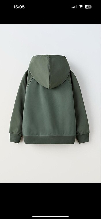Zara Zara Mont Ceket