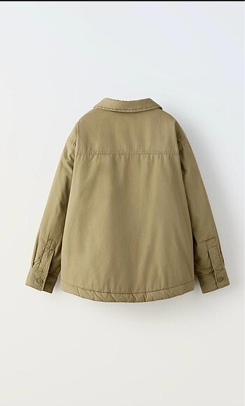 Zara Zara Mont Ceket