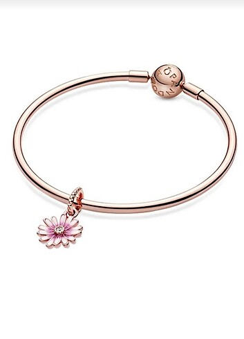 Pandora charm