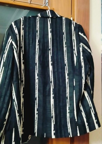 Kadın Siyah Çizgili Keten Blazer Ceket - Görsel 2