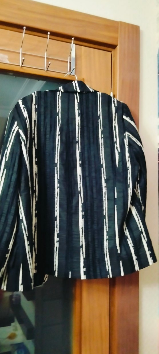 Kadın Siyah Çizgili Keten Blazer Ceket - Görsel 2