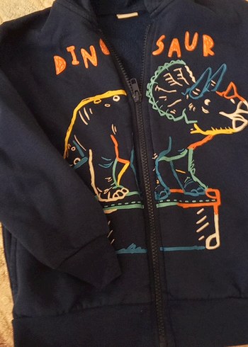 Erkek Çocuk Dinozor Baskılı Kapüşonlu Fermuarlı Sweatshirt - Görsel 3