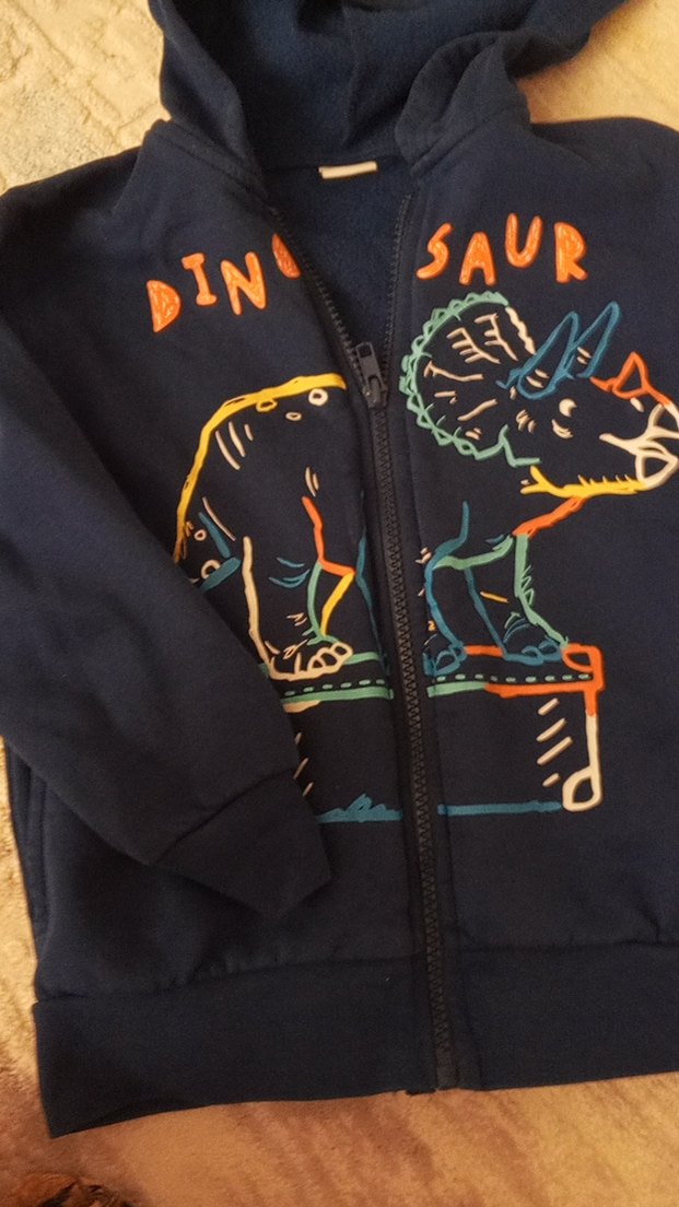 Erkek Çocuk Dinozor Baskılı Kapüşonlu Fermuarlı Sweatshirt - Görsel 3