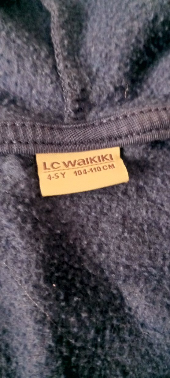 Erkek Çocuk Dinozor Baskılı Kapüşonlu Fermuarlı Sweatshirt - Görsel 2