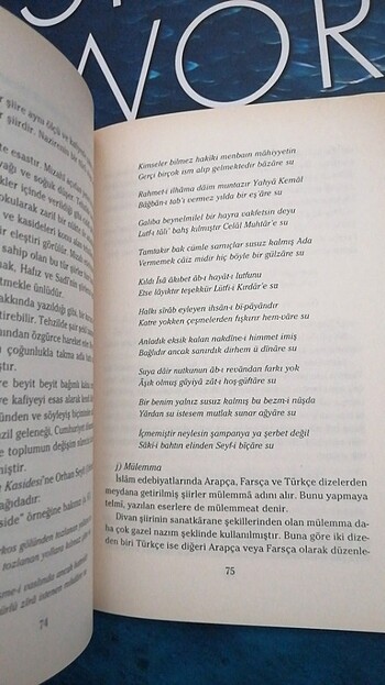  Beden İskender Pala - Divan edebiyatı 