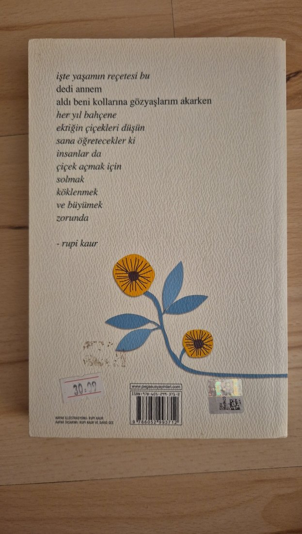 Güneş ve Onun Çiçekleri - Rupi Kaur - Görsel 2