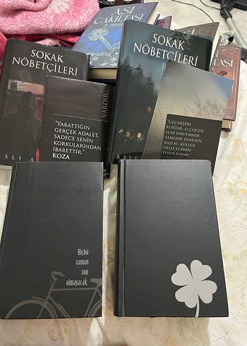 Sokak Nöbetçileri Serisi - Aslı Arslan - Görsel 3