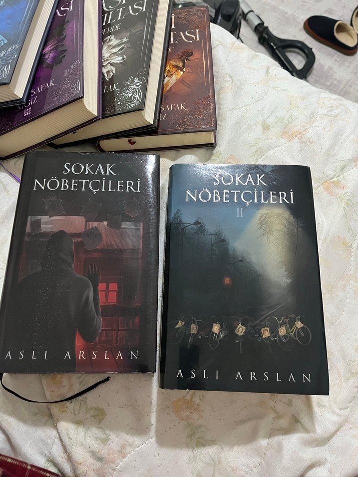 Sokak Nöbetçileri Serisi - Aslı Arslan - Görsel 2