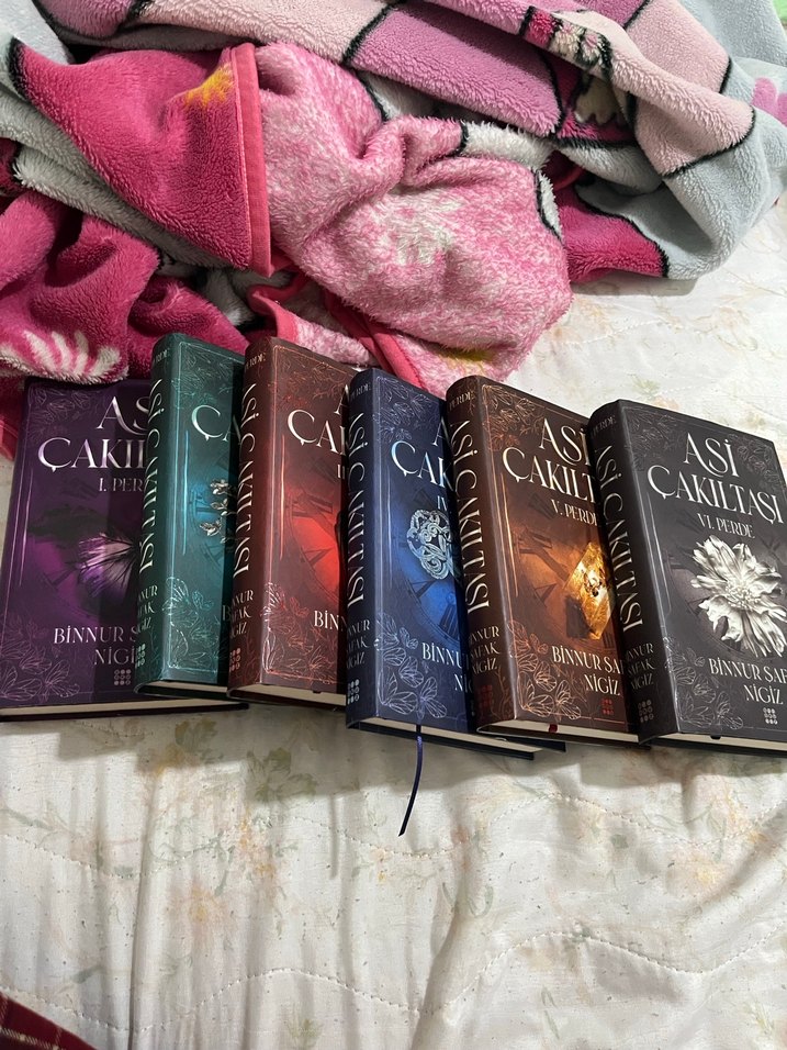 Asi Çakıltaşı Roman Serisi - Binnur Şafak Nigiz - Görsel 2