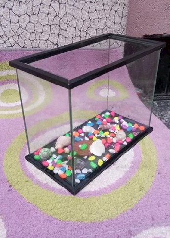 Renkli Dekoratif Cam Akvaryum - Görsel 2