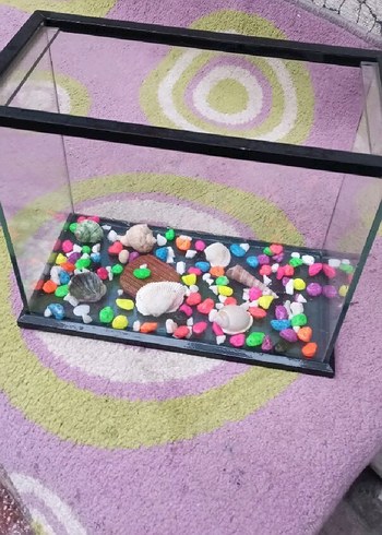 Renkli Dekoratif Cam Akvaryum - Görsel 6