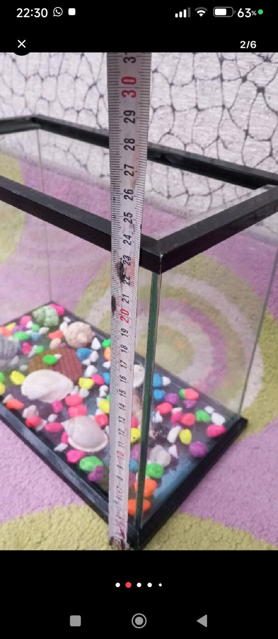 Renkli Dekoratif Cam Akvaryum - Görsel 3