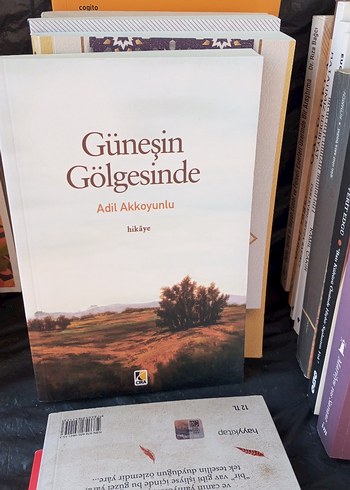 İlginç Bilgiler Ansiklopedisi - Çocuk Kitabı - Görsel 20