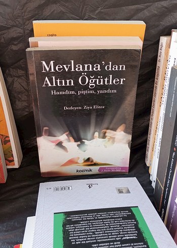 İlginç Bilgiler Ansiklopedisi - Çocuk Kitabı - Görsel 15