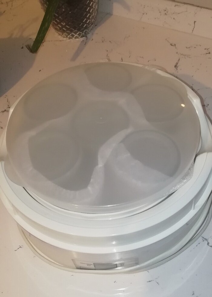 Weewell aile boyu yoğurt makinesi  - Görsel 4