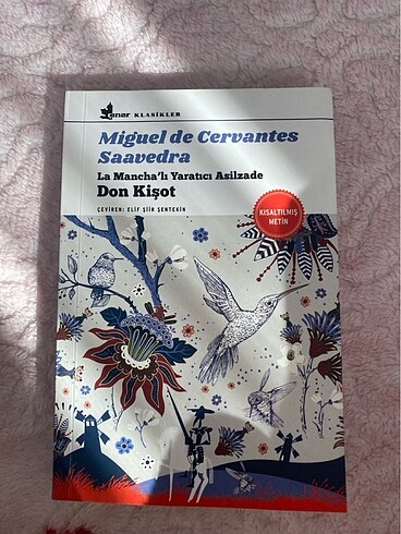 Don kişot kitabı