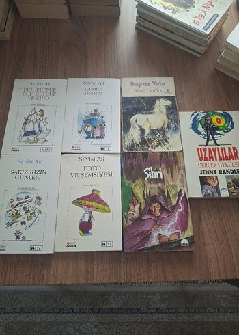 Çocuk Kitapları Seti: Sevim Ak ve Diğerleri