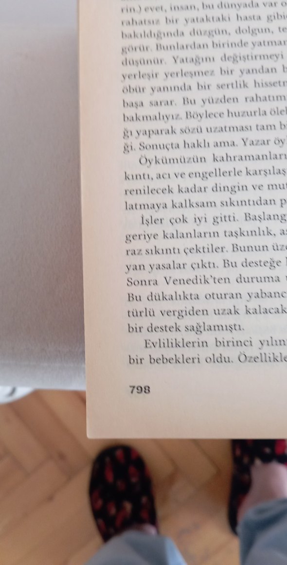 Nişanlılar - Alessandro Manzoni - Görsel 3
