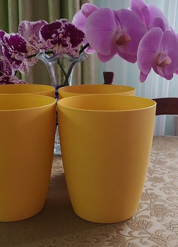 Orkide saksı